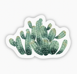 Cactus Sticker